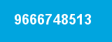 9666748513