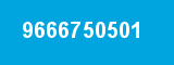 9666750501