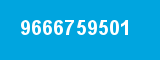 9666759501 9666759501