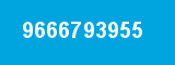9666793955