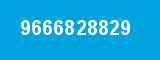 9666828829 9666828829
