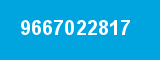 9667022817