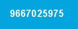 9667025975