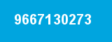 9667130273