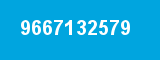 9667132579