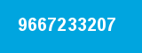 9667233207