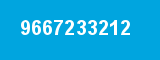 9667233212
