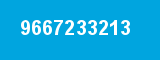 9667233213