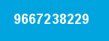 9667238229 9667238229