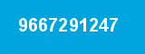 9667291247