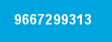 9667299313 9667299313