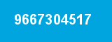 9667304517
