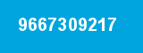 9667309217