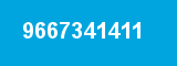 9667341411 9667341411