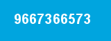 9667366573