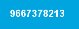9667378213