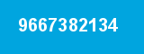 9667382134