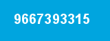 9667393315