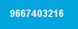 9667403216