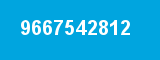 9667542812