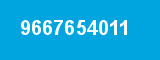 9667654011