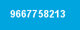 9667758213