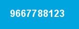 9667788123