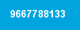 9667788133