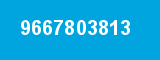 9667803813