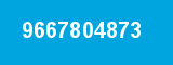 9667804873