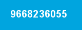 9668236055