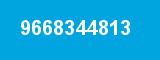 9668344813
