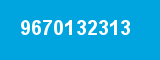 9670132313 9670132313