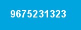 9675231323 9675231323