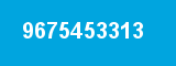 9675453313 9675453313