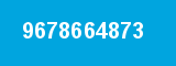 9678664873