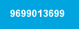 9699013699 9699013699