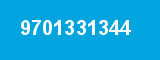 9701331344 9701331344