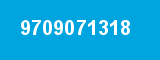 9709071318