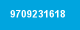 9709231618 9709231618
