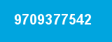 9709377542 9709377542