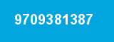 9709381387
