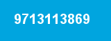 9713113869