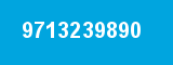 9713239890 9713239890