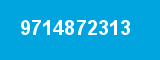 9714872313