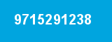 9715291238