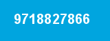 9718827866 9718827866