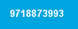 9718873993