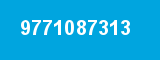 9771087313