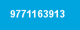 9771163913